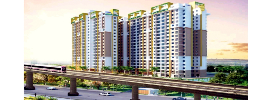 Purva Sunflower